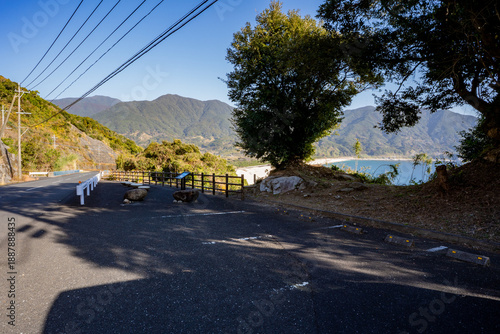 岸良展望所から見る岸良海岸の風景