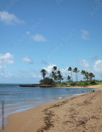 ハワイオアフ島 ハレイワ アリイビーチ