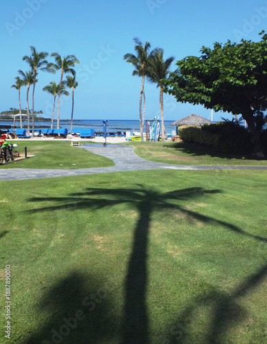 ヤシの木シルエット