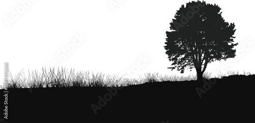 Silhouette of a lone tree and grass on a hill landscape