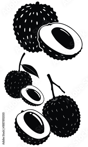 Lychee Fruit Silhouette: An elegant monochrome depiction of fresh lychee fruits, showcasing their textured skin and luscious, juicy interior, offering a glimpse of the sweet delicacy.