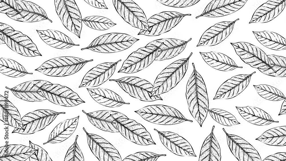Fototapeta premium Wooden Engraving Bay Leaves on Transparent Background