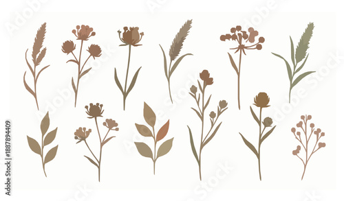 Watercolor Dried Wildflowers Clipart Set for Autumn Textile Design