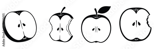 Apples stages : An artistic depiction showcases an apple through its various life stages, each cut revealing the seed within and capturing the essence of the fruit's progression.
