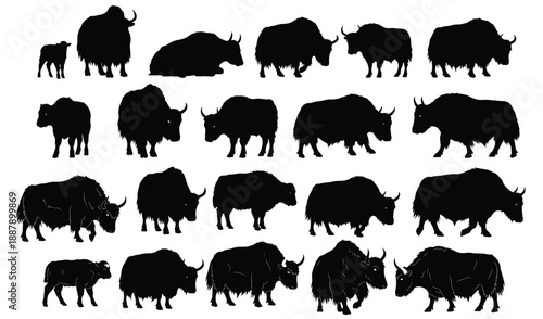 Silhouette Yaks: A collection of various silhouettes of yaks in diverse poses and stances, offering a visually captivating representation of these robust creatures.