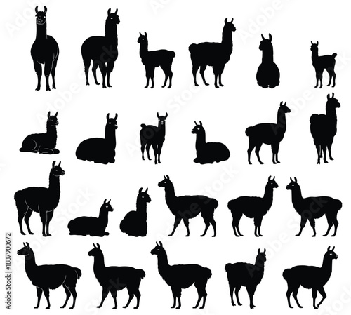 Llama Silhouette Collection: An artistic collection of llama silhouettes in various poses and stances, a versatile resource for creative projects.