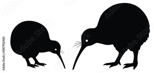Kiwi Bird Silhouette: Two iconic Kiwi birds are showcased against a crisp background, their unique forms silhouetted. They depict New Zealand's famous flightless birds.