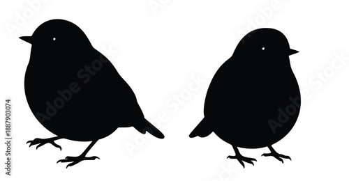 Silhouette Birds: Two silhouette birds captured in graphic resource.