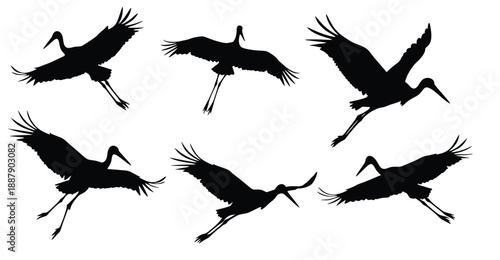 Graceful Ascent: Silhouette of a bird with outstretched wings soaring towards a bright sky, emphasizing freedom and a sense of wonder.