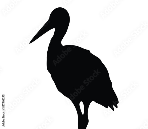 Elegant Silhouette: A graceful heron's silhouette stands tall, its form a stark contrast against a backdrop, inviting contemplation of the bird's inherent dignity and beauty.