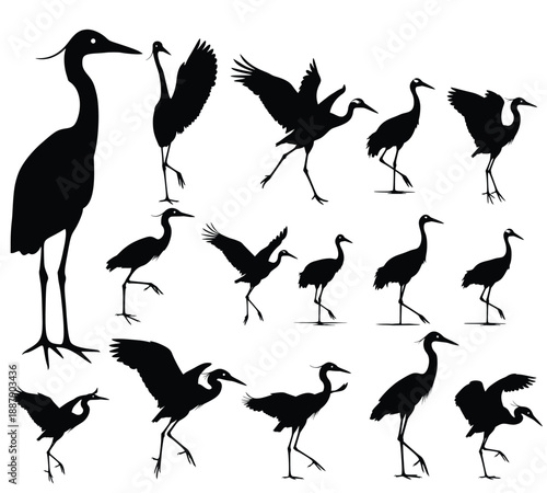 Graceful Crane Silhouettes: A collection of crane silhouettes showcases the elegance and dynamism of these magnificent birds in various poses.