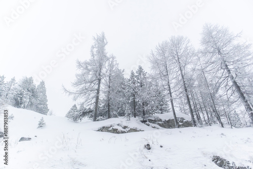 Wallpaper Mural Italian prison police transport bus driving on highway Torontodigital.ca