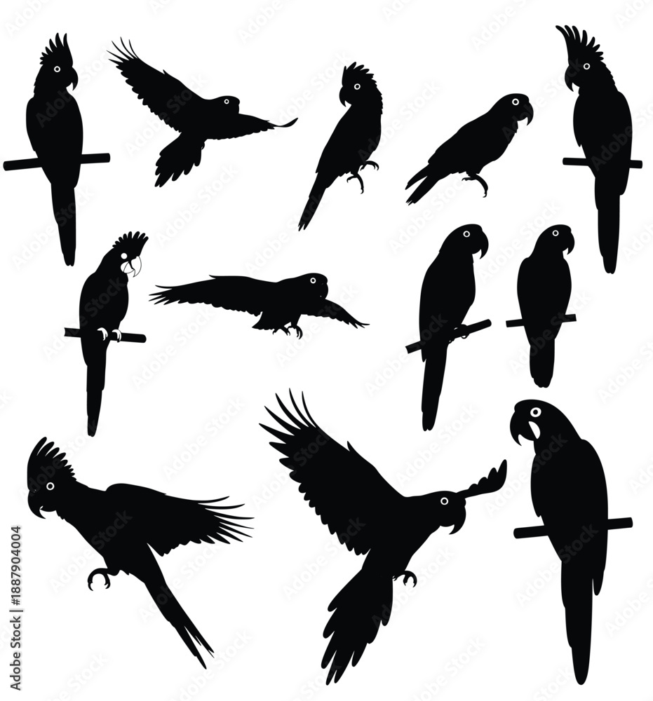 Obraz premium Silhouette of Parrots in Flight: A collection of parrot silhouettes showcases diverse avian postures, capturing the essence of graceful flight and static elegance.