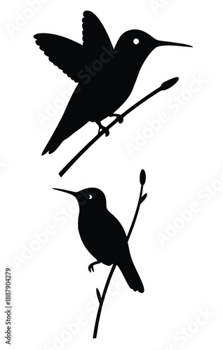 Silhouette of a Hummingbird: Silhouette depiction of two delicate hummingbird in different poses perched gracefully on slender branches against the stark.