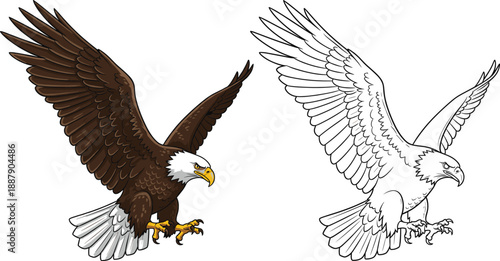 Bald Eagle Vector Illustration Featuring Detailed Color and Line Art Outline Drawings for American Patriotism and Wildlife Conservation Designs