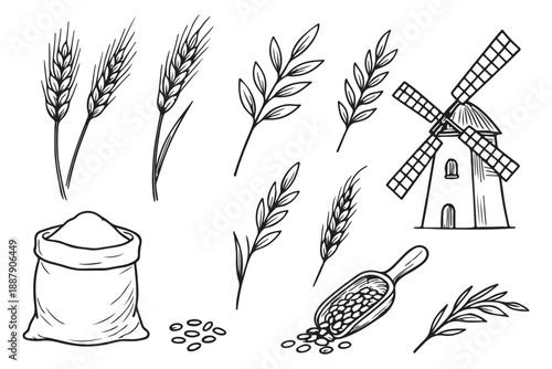 Minimal wheat grain icon set, Black cereal plant silhouette vector illustration
