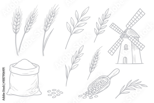 Minimal wheat grain icon set, Black cereal plant silhouette vector illustration