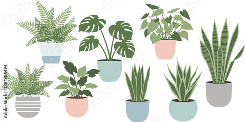 Modern indoor houseplants collection illustration with potted tropical foliage, minimalist flat design botanical elements for home decor and interior styling