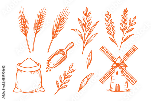 Minimal wheat grain icon set, Black cereal plant silhouette vector illustration
