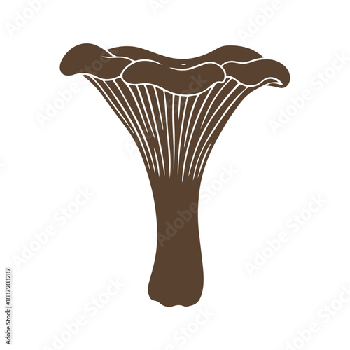 Chanterelle Mushroom Vector Silhouette Brown Fungi Icon