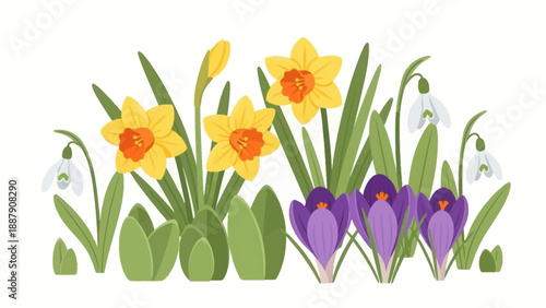Colorful Daffodils and Crocuses Spring Floral.