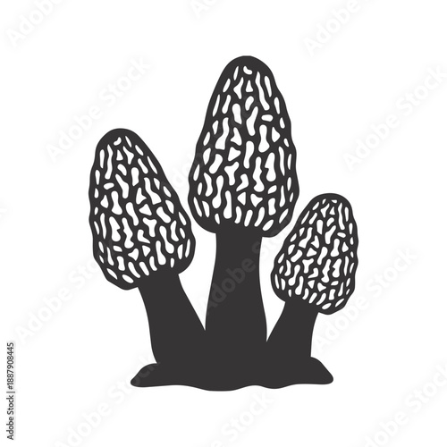 Morel Mushroom Cluster Vector Growing in Soil Minimalist Icon
