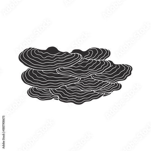 Turkey Tail Mushroom Silhouette Vector Fungi Medicinal Icon