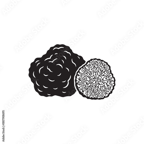 Black Truffle Silhouette Vector Illustration Gourmet Mushroom Icon