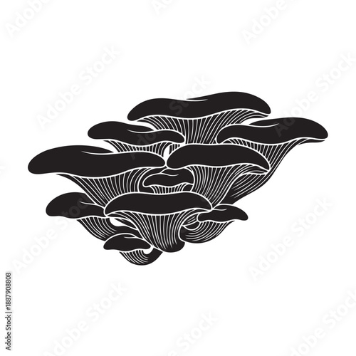 Oyster Mushroom Cluster Silhouette Vector Icon Pleurotus Ostreatus