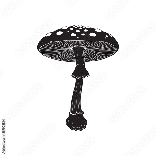 Detailed Toadstool Mushroom Silhouette Vector Icon Minimalist Fungi