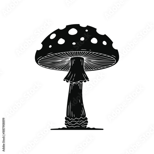 Detailed Toadstool Mushroom Silhouette Vector Icon Minimalist Fungi