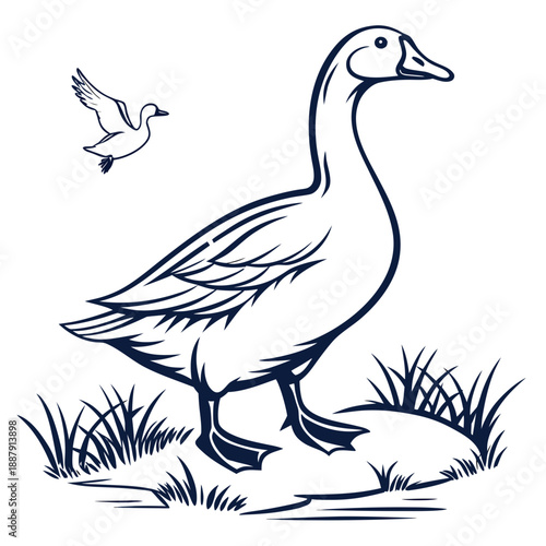 Mother duck and her chick