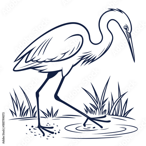 Heron standing in shallow water