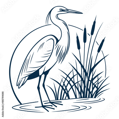 Heron standing among reeds