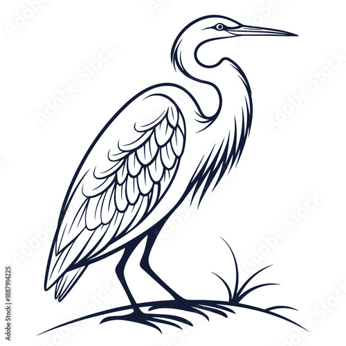 Standing heron in natural habitat