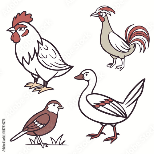 Four different birds in a farmyard