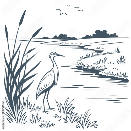 Heron by the marsh