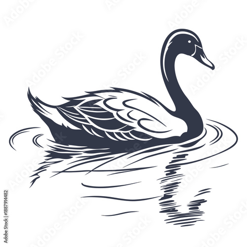 Graceful swan floating on calm waters