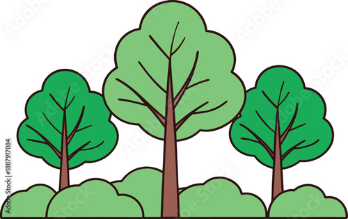 Forest Nature Landscape Scene. Green Forest Nature Design. Natural Forest Landscape View. Peaceful Forest Nature Scene. Dense Forest Woodland View. Scenic Green Forest Landscape. Wild Forest Nature