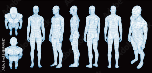 Human Body 3D Wireframe Mesh Model, Male Figure Multi-Angle Views including Front, Back, Side, and Top, Digital Grid for Technology, AI, Medical, Science, and Biometric Analysis Visualization