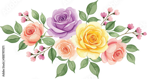 Watercolor painting of colorful roses and flowers on white background