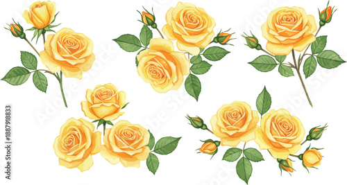 Yellow roses with green leaves on white background floral arrangement
