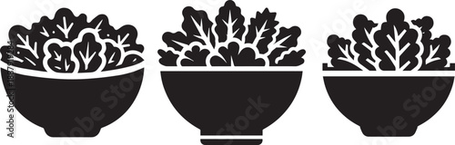 Salad bowl icon vector set.