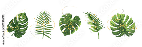 Modern Tropical Monstera and Palm Leaves Illustration with Gold Accents. Contemporary tropical leaf artwork combining monstera and palm shapes with elegant gold splashes on white background.