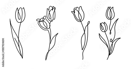 One line drawing tulip flower. Florist design logo. Abstract minimal style