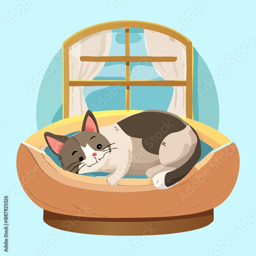Grey and white cat animal sleeping in wooden bed next to window with curtains