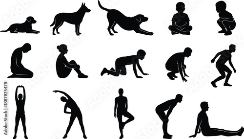 Human and dog silhouettes showing sitting, stretching and movement poses, body positions comparison, daily activities, flexibility, behavior, lifestyle