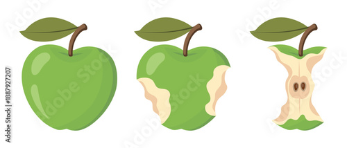 Ripe green apple eating steps icon set. Stages of an eaten apple, whole, bitten and core. Illustration.
