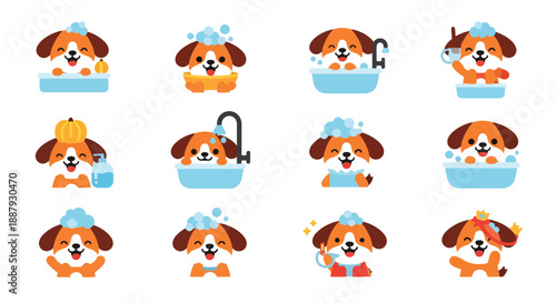 Dog Grooming Set of Vector Illustrations