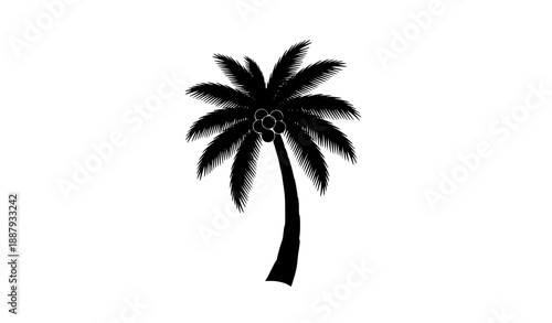 Coconut palm tree silhouette vector summer tropical tree isolated on white